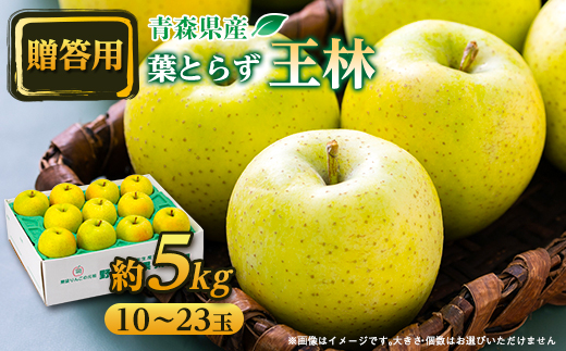 【贈答用にもどうぞ】 青森市産りんご「葉とらず王林」約5kg【配送不可地域：離島・沖縄県】