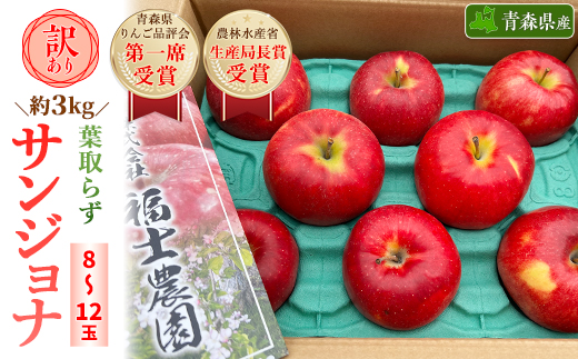 「葉とらずサンジョナ」約3kg・訳あり家庭用りんご【配送不可地域：離島・沖縄県】