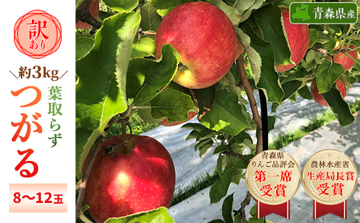「葉とらずつがる」約3kg・訳あり家庭用りんご【配送不可地域：離島・沖縄県】