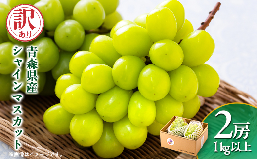 2025年発送【訳あり】青森市産シャインマスカット 2房(1kg以上)【配送不可地域：離島・沖縄県】