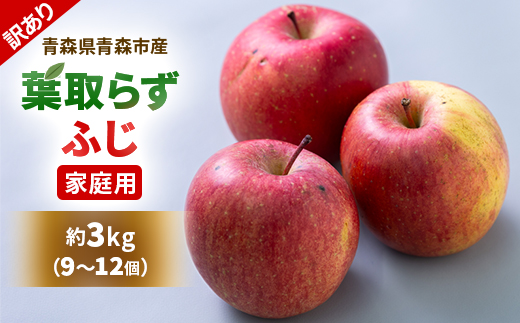 【訳あり】りんご 「葉取らずふじ」 (家庭用)約3kg(9～12個入り)【配送不可地域：離島】