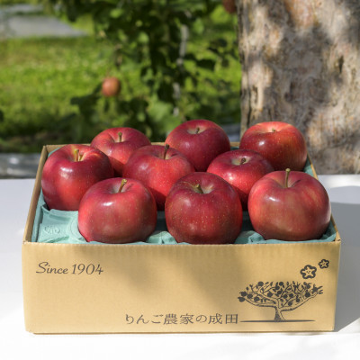 【百年続く青森のりんご農家直送】葉とらずサンふじ 　約3kg　贈答用【12月から発送開始】【配送不可地域：離島】