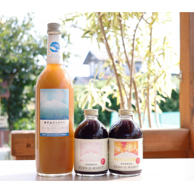 青森プロテオグリカン入りジンジャーシロップ×1本＆青森カシス入りジンジャーシロップ×2本
