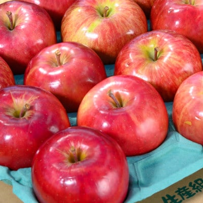 【2026年9月発送予定】平均糖度12度以上! 葉とらずサンつがる 約3kg 訳あり クール便【配送不可地域：離島・沖縄県】