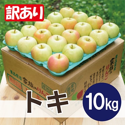 【2025年10月発送予定】平均糖度12度以上! トキ 約10kg 訳あり【配送不可地域：離島・沖縄県】