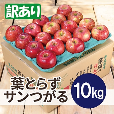 【2025年9月発送予定】平均糖度12度以上! 葉とらずサンつがる 約10kg 訳あり クール便【配送不可地域：離島・沖縄県】