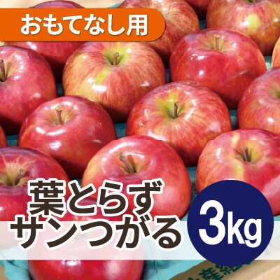 【2025年10月発送予定】平均糖度12度以上! 葉とらずサンつがる 約3kg おもてなし用【配送不可地域：離島・沖縄県】