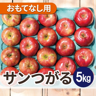 【2025年10月発送予定】平均糖度12度以上! 葉とらずサンつがる 約5kg おもてなし用【配送不可地域：離島・沖縄県】