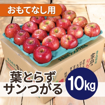 【2025年10月発送予定】平均糖度12度以上! 葉とらずサンつがる 約10kg おもてなし用【配送不可地域：離島・沖縄県】