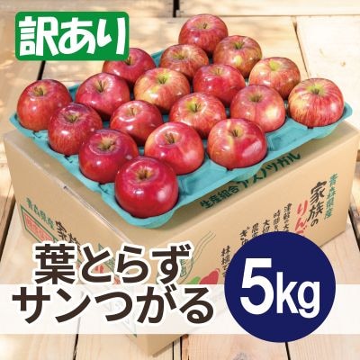 【2025年10月発送予定】平均糖度12度以上! 葉とらずサンつがる 約5kg 訳あり【配送不可地域：離島・沖縄県】