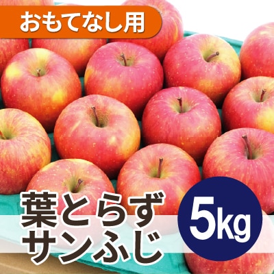 【2025年11月発送予定】平均糖度13度以上! 葉とらずサンふじ 約5kg おもてなし用【配送不可地域：離島・沖縄県】
