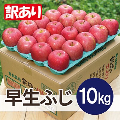 【2025年10月発送予定】平均糖度12度以上! 早生ふじ 約10kg 訳あり【配送不可地域：離島・沖縄県】