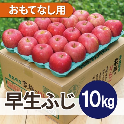 【2025年10月発送予定】平均糖度12度以上! 早生ふじ 約10kg おもてなし用【配送不可地域：離島・沖縄県】