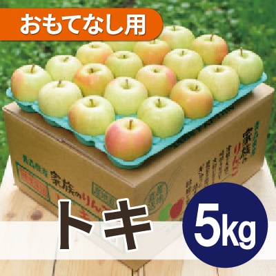 【2027年1月から順次発送】平均糖度13度以上! トキ 約5kg おもてなし用【配送不可地域：沖縄県】