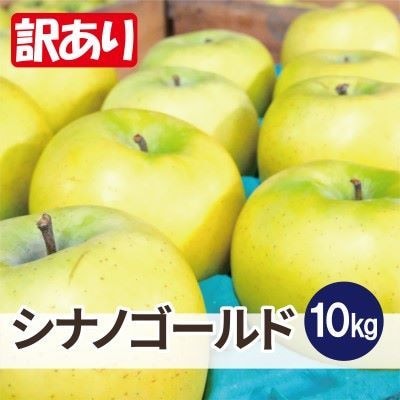 【25年11月より順次発送】平均糖度13度以上! シナノゴールド 約10kg 訳あり【配送不可地域：離島・沖縄県】