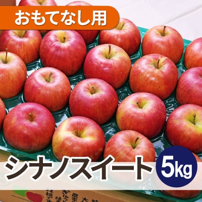【25年11月より順次発送】平均糖度13度以上! シナノスイート 約5kg おもてなし用【配送不可地域：離島・沖縄県】