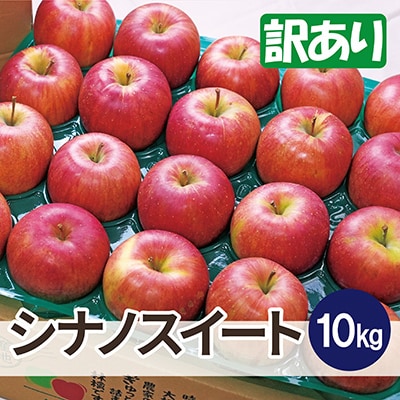 【26年3月より順次発送】平均糖度13度以上! シナノスイート 約10kg 訳あり【配送不可地域：離島・沖縄県】