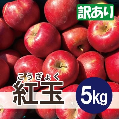  紅玉 約5kg 訳あり【配送不可地域：離島・沖縄県】