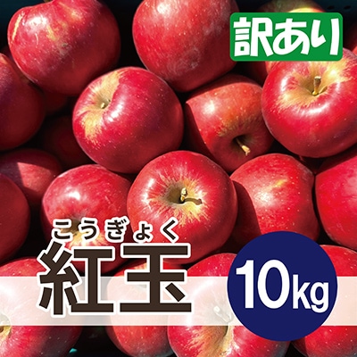  紅玉 約10kg 訳あり【配送不可地域：離島・沖縄県】