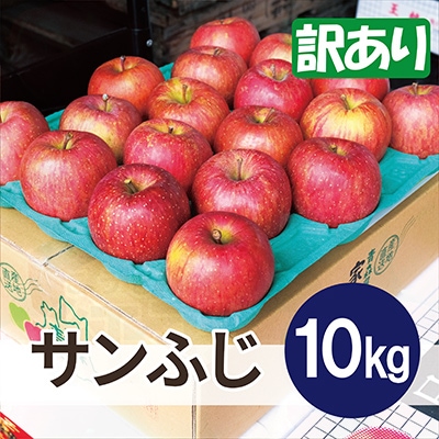 【26年3月出荷予定】平均糖度13度以上! サンふじ 約10kg 訳あり【配送不可地域：離島・沖縄県】