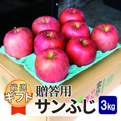 【25年11月出荷予定】平均糖度13度以上! サンふじ 約3kg 贈答用【配送不可地域：離島・沖縄県】