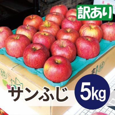 【26年5月出荷予定】平均糖度13度以上! サンふじ 約5kg 訳あり CA貯蔵 クール便【配送不可地域：離島・沖縄県】