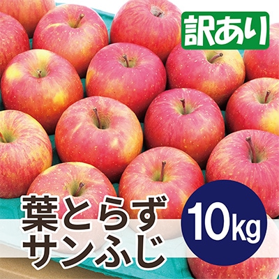 【26年1月出荷予定】平均糖度13度以上! 葉とらずサンふじ 約10kg 訳あり【配送不可地域：離島・沖縄県】