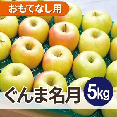 【26年4月出荷予定】平均糖度13度以上! ぐんま名月 約5kg おもてなし用 CA貯蔵 クール便【配送不可地域：離島・沖縄県】