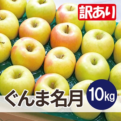 【26年3月出荷予定】平均糖度13度以上! ぐんま名月 約10kg 訳あり【配送不可地域：離島・沖縄県】