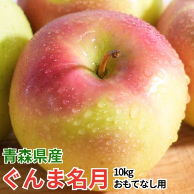 【27年2月出荷予定】平均糖度13度以上! ぐんま名月 約10kg おもてなし用【配送不可地域：離島・沖縄県】