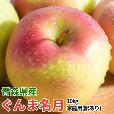 【27年2月出荷予定】平均糖度13度以上! ぐんま名月 約10kg 訳あり【配送不可地域：離島・沖縄県】