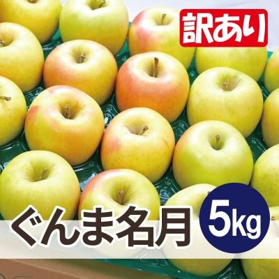 【26年1月出荷予定】平均糖度13度以上! ぐんま名月 約5kg 訳あり【配送不可地域：離島・沖縄県】