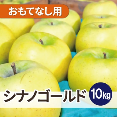 【25年11月出荷予定】平均糖度13度以上! シナノゴールド 約10kg おもてなし用【配送不可地域：離島・沖縄県】