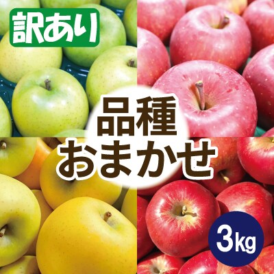 【25年10月出荷予定】りんご 品種おまかせ 約3kg 訳あり【配送不可地域：離島・沖縄県】