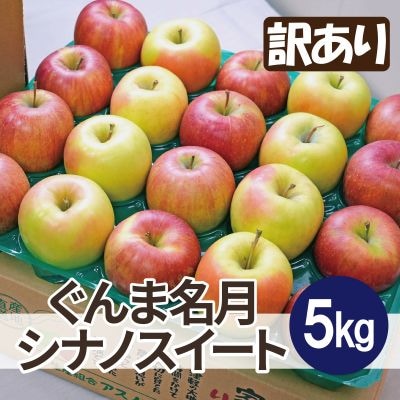 【26年12月出荷予定】糖度13度以上保証! ぐんま名月×シナノスイート 約5kg 訳あり【配送不可地域：離島・沖縄県】