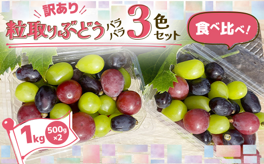 2026年発送【訳あり】粒取り ぶどう バラバラ3色セット 計1kg(500g×2パック)食べ比べ!【配送不可地域：離島】