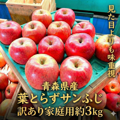 【26年1月～2月発送予定】平均糖度13度以上! 葉とらずサンふじ 約3kg 訳あり 青森りんご【配送不可地域：離島】