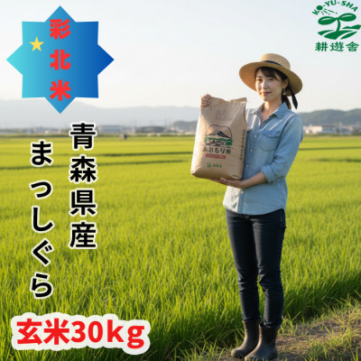 【先行予約受付】令和8年　青森県産まっしぐら　玄米30kg　彩北米【配送不可地域：離島・沖縄県】