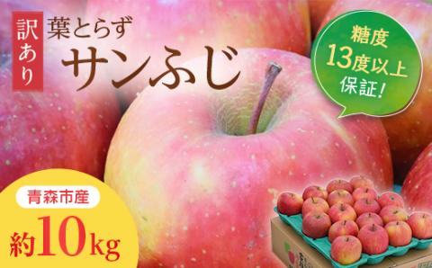 【青森産】糖度13度以上保証!訳あり葉とらずサンふじ家庭用約10kg【配送不可地域：離島・沖縄県】