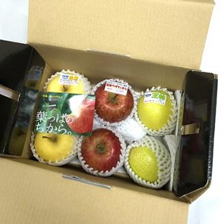 【2025年11月～2026年3月発送】季節のフルーツセット(約5kg)【配送不可地域：離島】