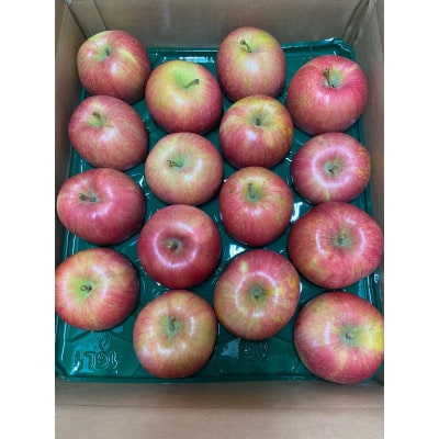 【令和7年10月上旬頃発送開始】青森りんご「葉取らず昂林」約5kg(家庭用)【配送不可地域：離島】