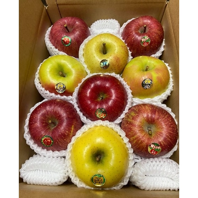 【令和7年12月上旬発送開始】青森りんご　バラエティ詰め合わせ　約3kg【配送不可地域：離島】