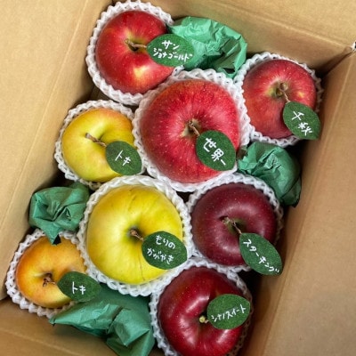 先行受付【青森市産・5品種詰め合わせ】約3kg(家庭用)【配送不可地域：離島・沖縄県】