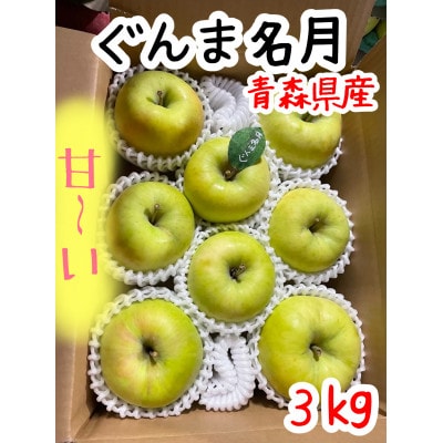 先行受付【青森市産・ぐんま名月】約3kg(家庭用)