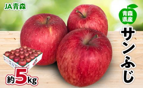 JA青森　青森県産りんご「サンふじ」約5kg【配送不可地域：離島】