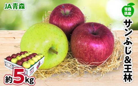JA青森　青森県産りんご「サンふじ＆王林詰合せ」約5kg【配送不可地域：離島】