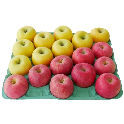 りんご ふじ・シナノゴールド 詰め合わせセット 約5kg【配送不可地域：離島】