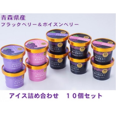 縄文ベリーアイス4種詰め合わせ　合計10個セット【配送不可地域：離島】