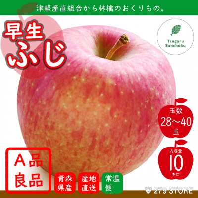 10月初旬頃発送 早生ふじ A品 10キロ箱 10kg 28～40玉 津軽りんご 産地直送【配送不可地域：離島】