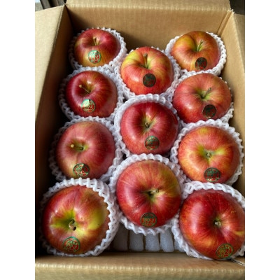 【令和7年10月中旬頃発送開始】青森りんご「葉取らずシナノスイート」約3kg【配送不可地域：離島】